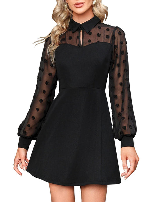 Long Sleeve Mesh Black Dress A-Line