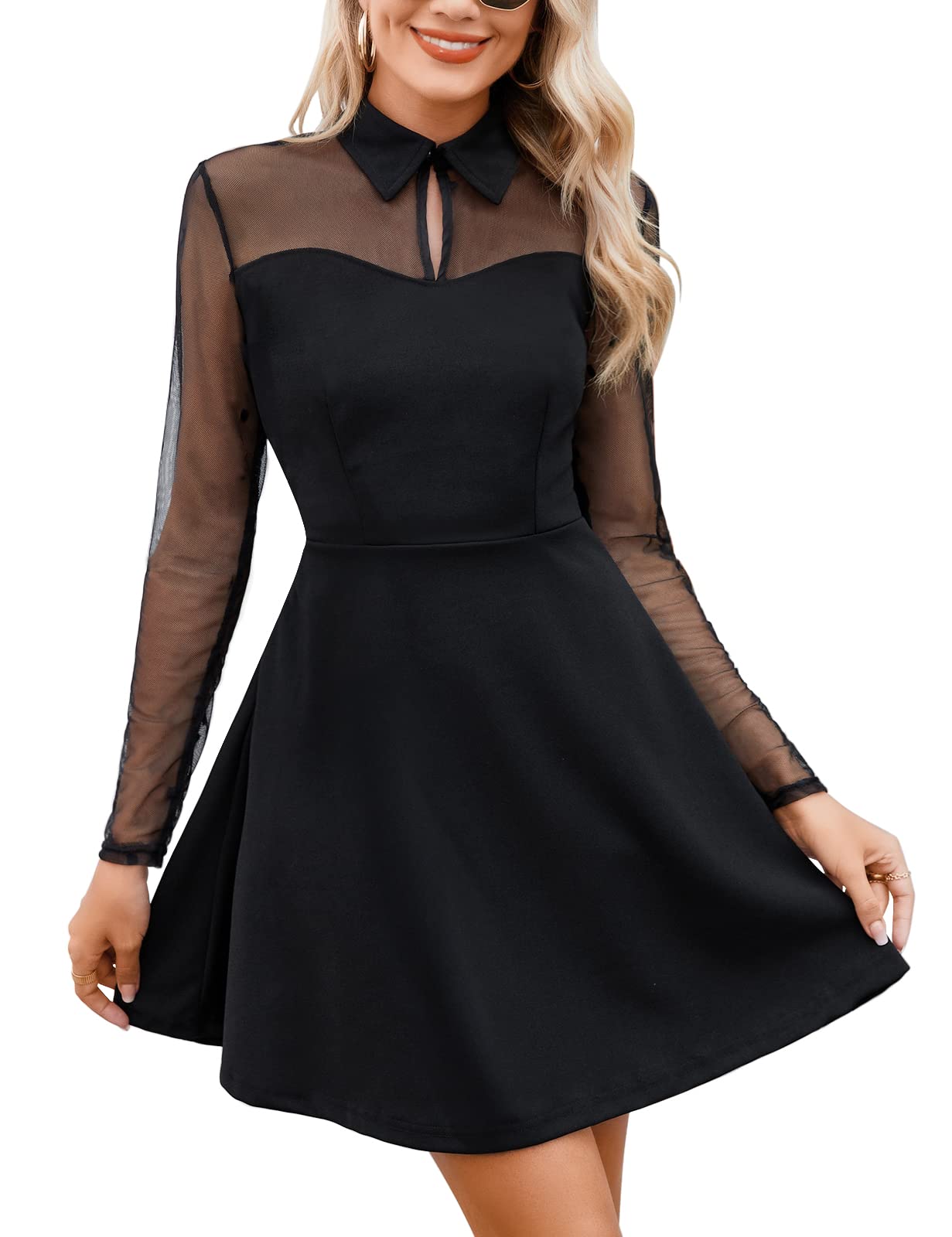 Long Sleeve Mesh Black Dress A-Line