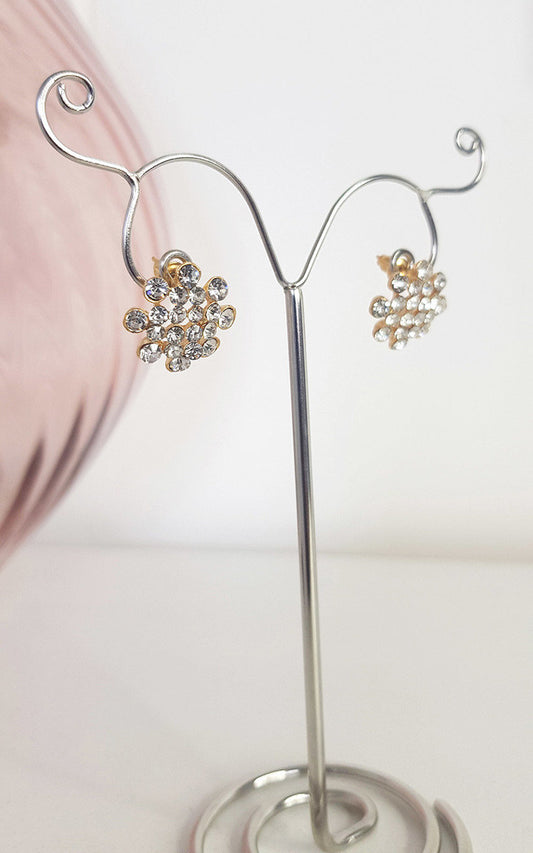 Embellished Earrings