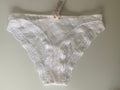 Next Lingerie Lace Mesh Briefs The Brazilian Knickers 6, 10, 12 White or Yellow - BB Fashion Outlet